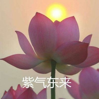 机动都市阿尔法折扣版下载